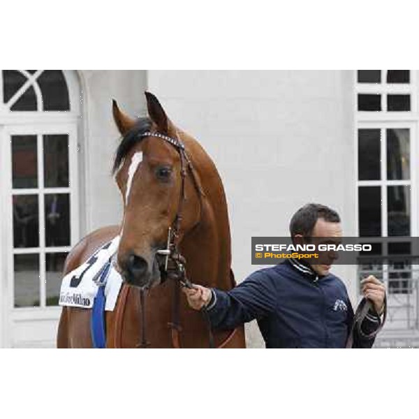 Lui e la Luna parading before the race Milano - San Siro racecourse,18th march 2012 ph.Stefano Grasso