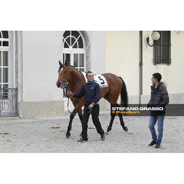 Lui e la Luna parading before the race Milano - San Siro racecourse,18th march 2012 ph.Stefano Grasso