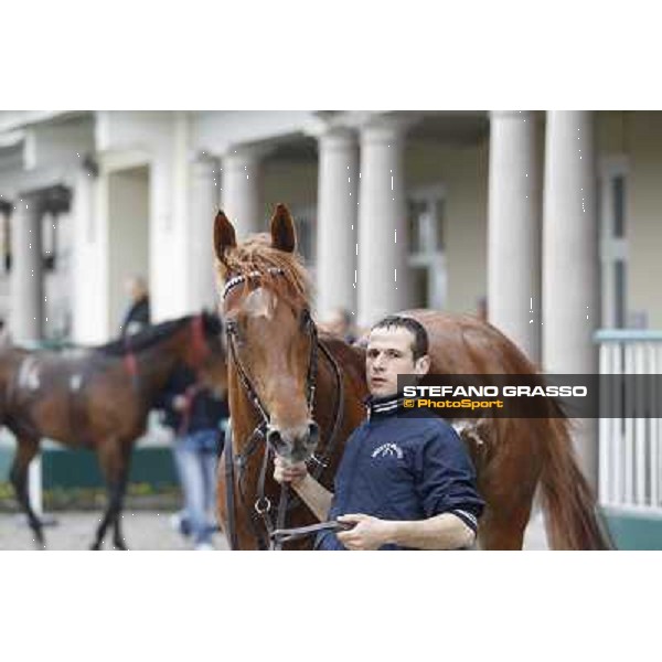 Salure walking in the winner enclosure after the race Milano - San Siro racecourse,18th march 2012 ph.Stefano Grasso