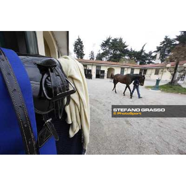 The saddling at San Siro galopp Milano - San Siro racecourse,18th march 2012 ph.Stefano Grasso