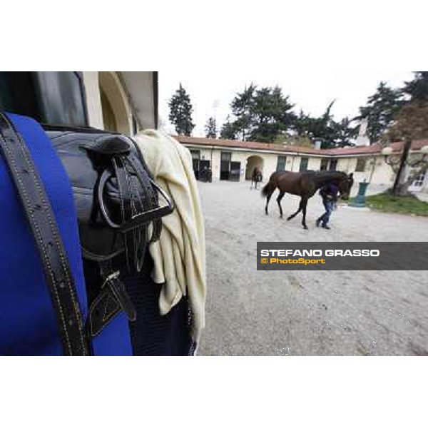 The saddling at San Siro galopp Milano - San Siro racecourse,18th march 2012 ph.Stefano Grasso