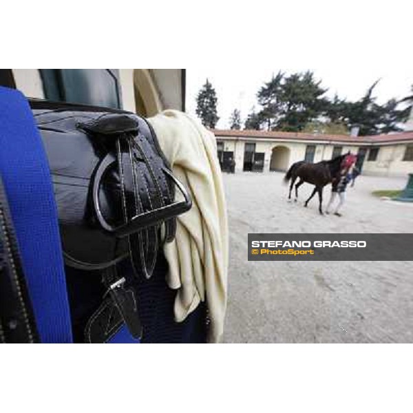 The saddling at San Siro galopp Milano - San Siro racecourse,18th march 2012 ph.Stefano Grasso