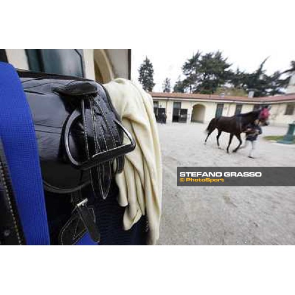 The saddling at San Siro galopp Milano - San Siro racecourse,18th march 2012 ph.Stefano Grasso