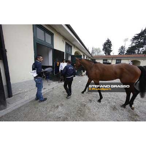 Bruno Grizzetti and Lui e la Luna Milano - San Siro racecourse,18th march 2012 ph.Stefano Grasso