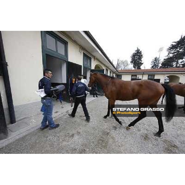 Bruno Grizzetti and Lui e la Luna Milano - San Siro racecourse,18th march 2012 ph.Stefano Grasso