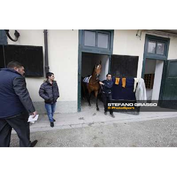 Lui e la Luna Milano - San Siro racecourse,18th march 2012 ph.Stefano Grasso