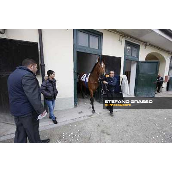 Lui e la Luna Milano - San Siro racecourse,18th march 2012 ph.Stefano Grasso