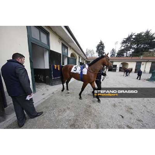 Lui e la Luna Milano - San Siro racecourse,18th march 2012 ph.Stefano Grasso