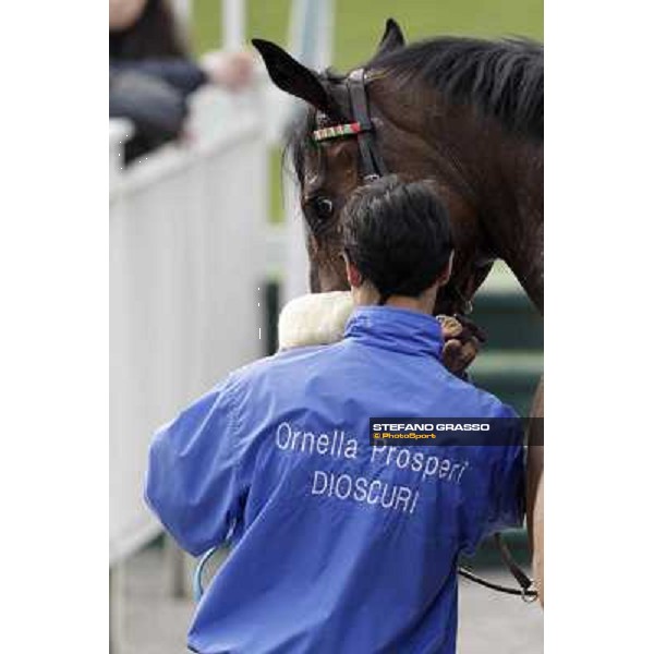 Smoking Joe returns home with his groom Milano - San Siro racecourse,18th march 2012 ph.Stefano Grasso