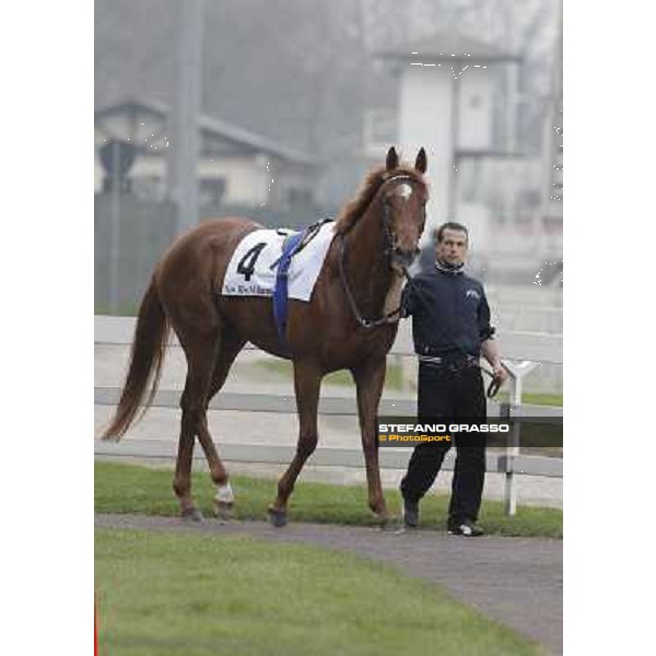 Salure parading before the race Milano - San Siro racecourse,18th march 2012 ph.Stefano Grasso