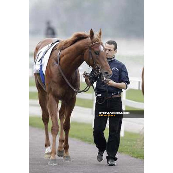 Salure parading before the race Milano - San Siro racecourse,18th march 2012 ph.Stefano Grasso