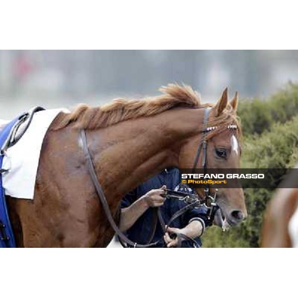 Salure parading before the race Milano - San Siro racecourse,18th march 2012 ph.Stefano Grasso