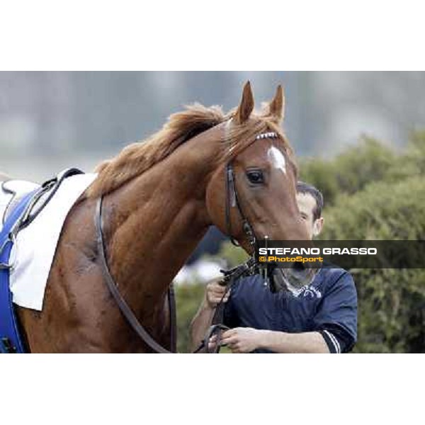 Salure parading before the race Milano - San Siro racecourse,18th march 2012 ph.Stefano Grasso