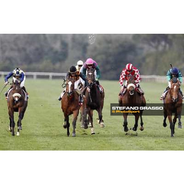 Stefano Landi on Facoltoso wins the 122° Premio Pisa Pisa - San Rossore racecourse, 25th march 2012 ph.Stefano Grasso