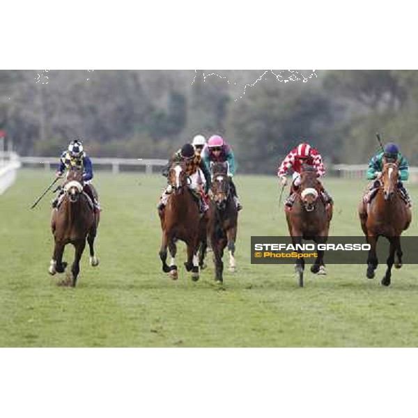 Stefano Landi on Facoltoso wins the 122° Premio Pisa Pisa - San Rossore racecourse, 25th march 2012 ph.Stefano Grasso