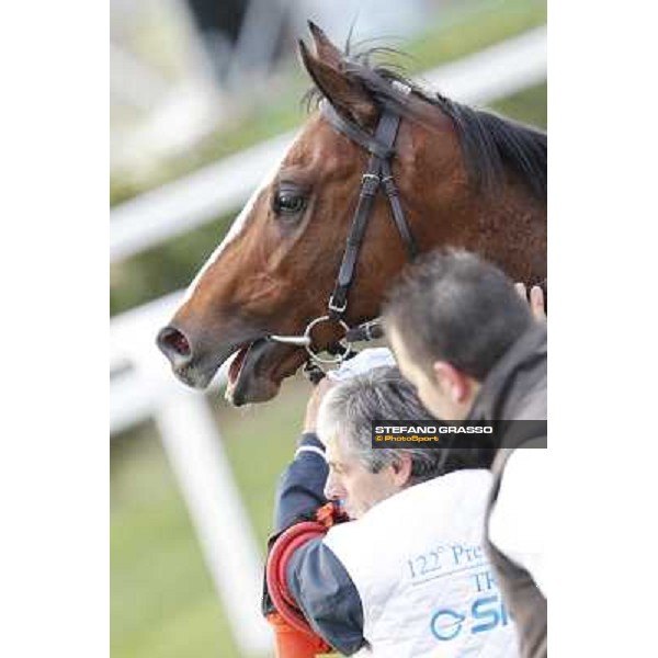 Stefano Landi on Facoltoso wins the 122° Premio Pisa Pisa - San Rossore racecourse, 25th march 2012 ph.Stefano Grasso