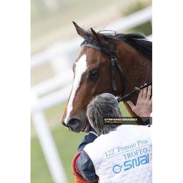 Stefano Landi on Facoltoso wins the 122° Premio Pisa Pisa - San Rossore racecourse, 25th march 2012 ph.Stefano Grasso