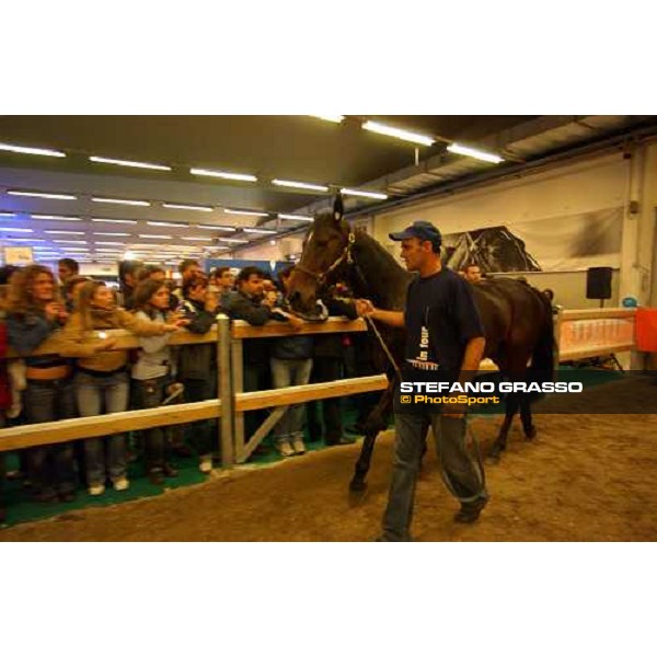 Fiera Cavalli 2004 -Varenne in Tour Verona, 6 ottobre 2004 ph. Stefano Grasso