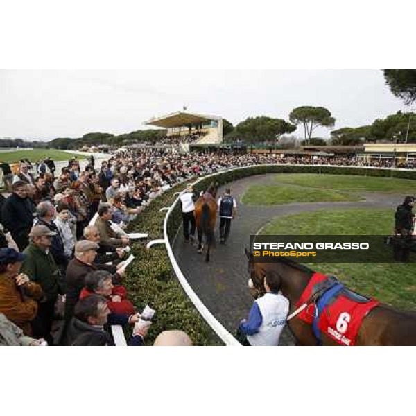 Stefano Landi on Facoltoso wins the 122° Premio Pisa Pisa - San Rossore racecourse, 25th march 2012 ph.Stefano Grasso