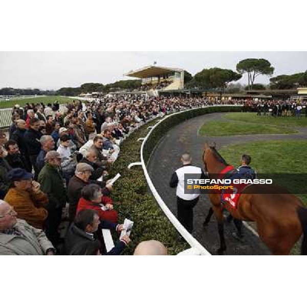 Stefano Landi on Facoltoso wins the 122° Premio Pisa Pisa - San Rossore racecourse, 25th march 2012 ph.Stefano Grasso