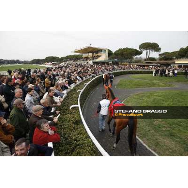 Stefano Landi on Facoltoso wins the 122° Premio Pisa Pisa - San Rossore racecourse, 25th march 2012 ph.Stefano Grasso