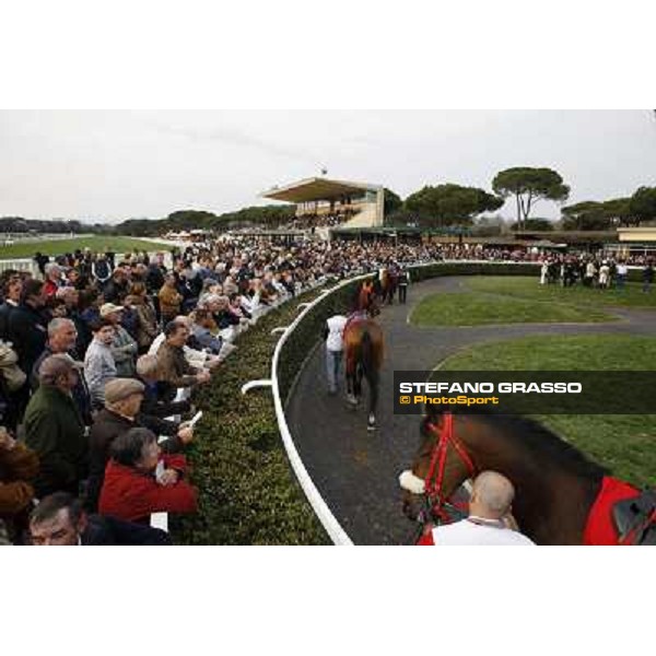 Stefano Landi on Facoltoso wins the 122° Premio Pisa Pisa - San Rossore racecourse, 25th march 2012 ph.Stefano Grasso