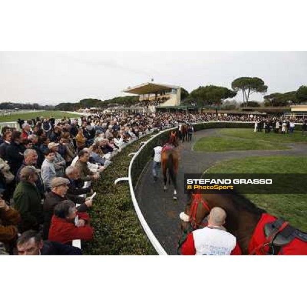 Stefano Landi on Facoltoso wins the 122° Premio Pisa Pisa - San Rossore racecourse, 25th march 2012 ph.Stefano Grasso