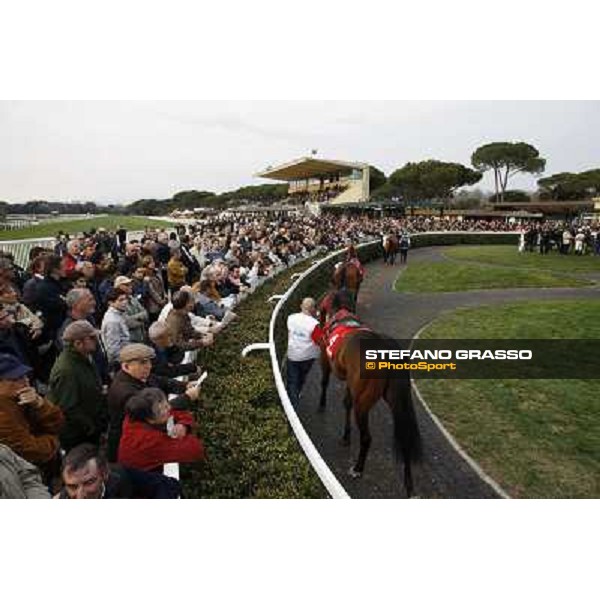 Stefano Landi on Facoltoso wins the 122° Premio Pisa Pisa - San Rossore racecourse, 25th march 2012 ph.Stefano Grasso