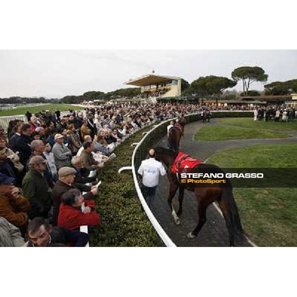 Stefano Landi on Facoltoso wins the 122° Premio Pisa Pisa - San Rossore racecourse, 25th march 2012 ph.Stefano Grasso