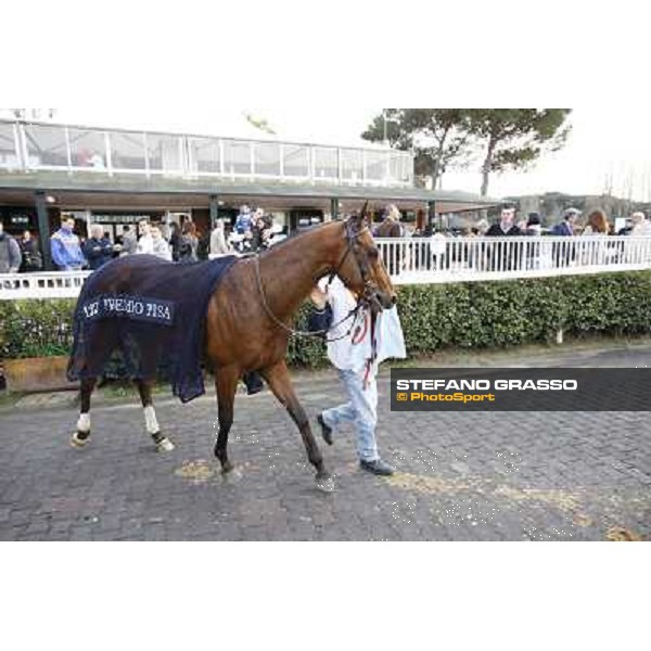 Stefano Landi on Facoltoso wins the 122° Premio Pisa Pisa - San Rossore racecourse, 25th march 2012 ph.Stefano Grasso