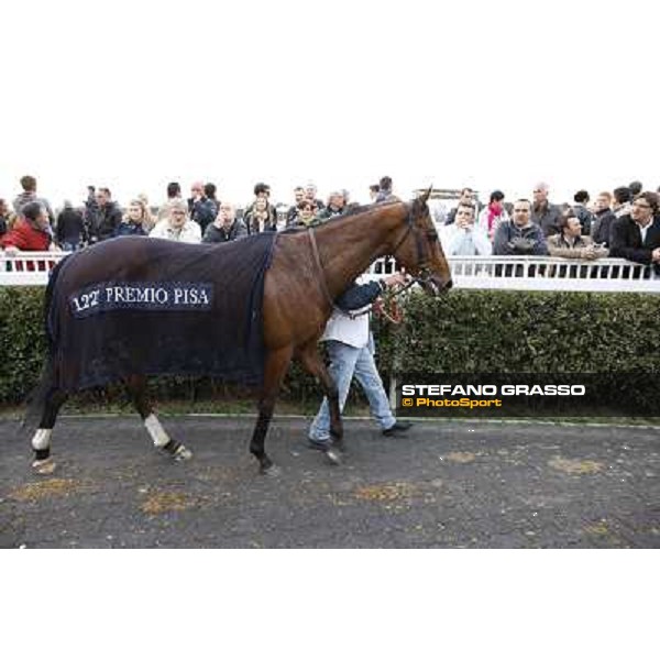 Stefano Landi on Facoltoso wins the 122° Premio Pisa Pisa - San Rossore racecourse, 25th march 2012 ph.Stefano Grasso