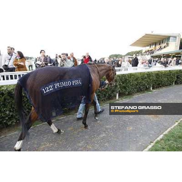 Stefano Landi on Facoltoso wins the 122° Premio Pisa Pisa - San Rossore racecourse, 25th march 2012 ph.Stefano Grasso