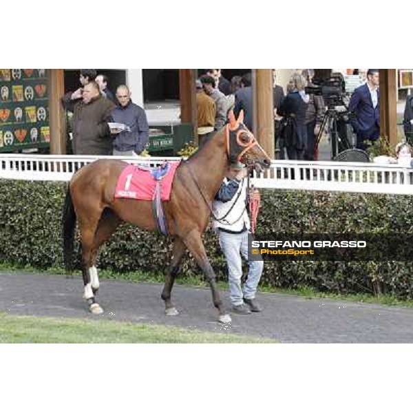 Stefano Landi on Facoltoso wins the 122° Premio Pisa Pisa - San Rossore racecourse, 25th march 2012 ph.Stefano Grasso