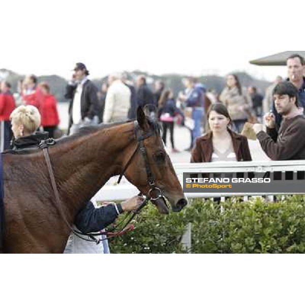 Stefano Landi on Facoltoso wins the 122° Premio Pisa Pisa - San Rossore racecourse, 25th march 2012 ph.Stefano Grasso