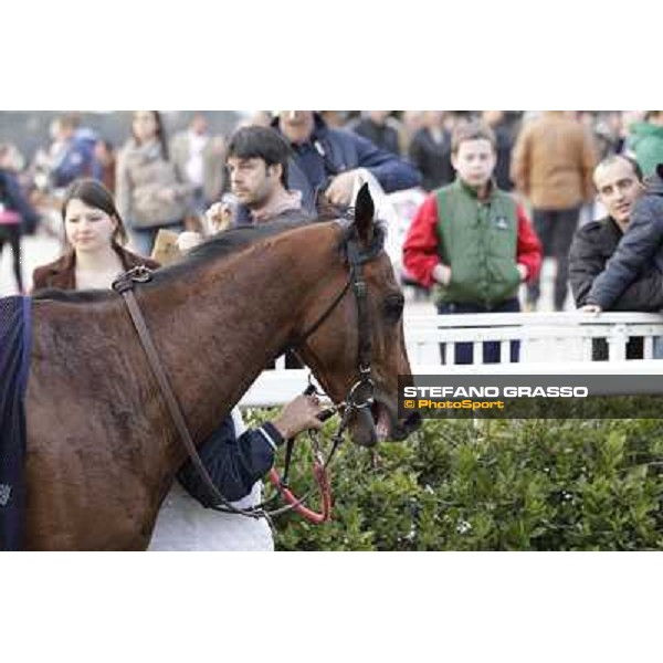 Stefano Landi on Facoltoso wins the 122° Premio Pisa Pisa - San Rossore racecourse, 25th march 2012 ph.Stefano Grasso