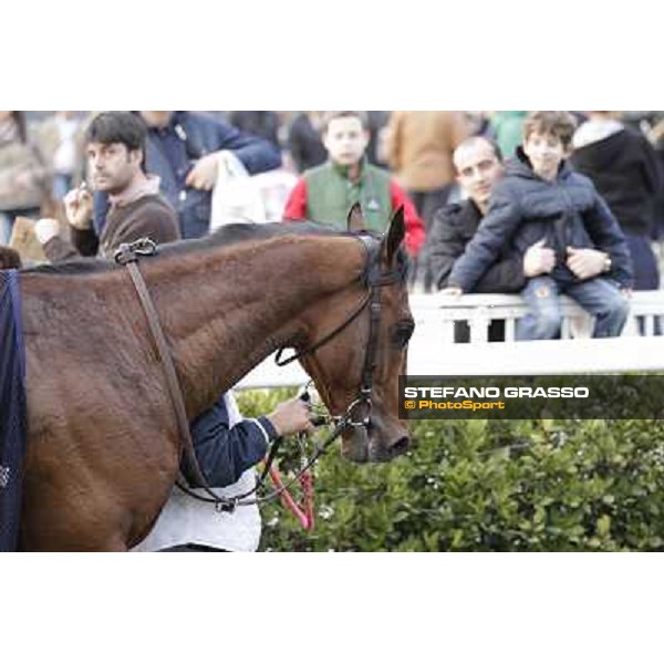 Stefano Landi on Facoltoso wins the 122° Premio Pisa Pisa - San Rossore racecourse, 25th march 2012 ph.Stefano Grasso