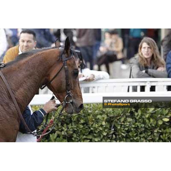 Stefano Landi on Facoltoso wins the 122° Premio Pisa Pisa - San Rossore racecourse, 25th march 2012 ph.Stefano Grasso