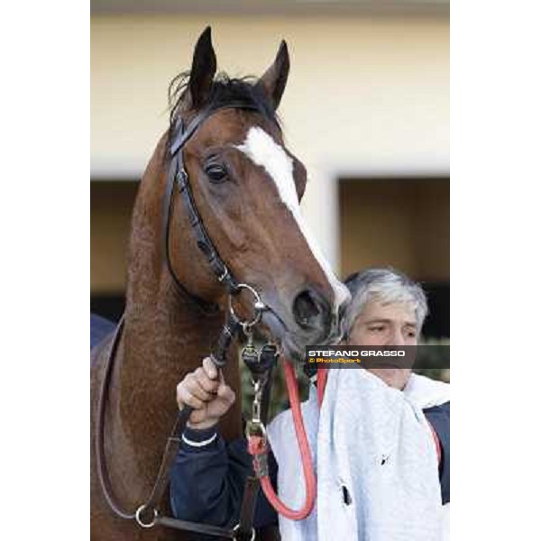 Stefano Landi on Facoltoso wins the 122° Premio Pisa Pisa - San Rossore racecourse, 25th march 2012 ph.Stefano Grasso