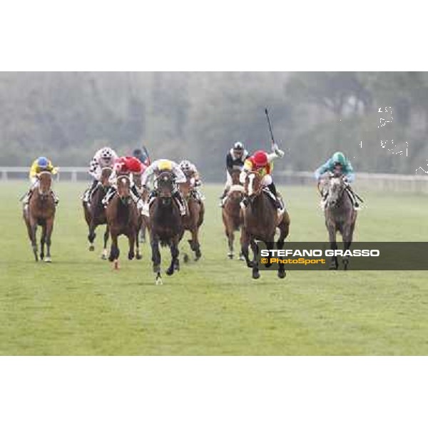 Pisa - San Rossore racecourse, 25th march 2012 ph.Stefano Grasso