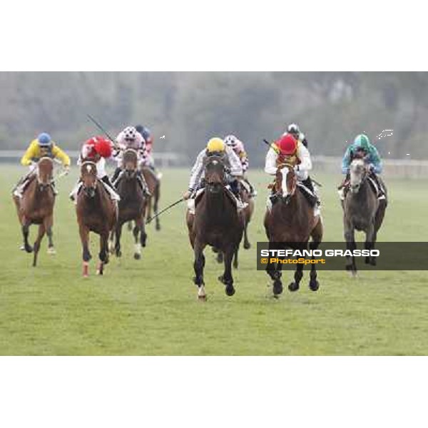 Pisa - San Rossore racecourse, 25th march 2012 ph.Stefano Grasso