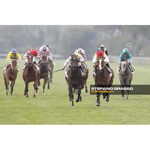 Pisa - San Rossore racecourse, 25th march 2012 ph.Stefano Grasso