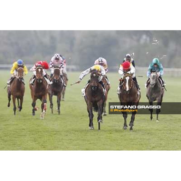 Pisa - San Rossore racecourse, 25th march 2012 ph.Stefano Grasso