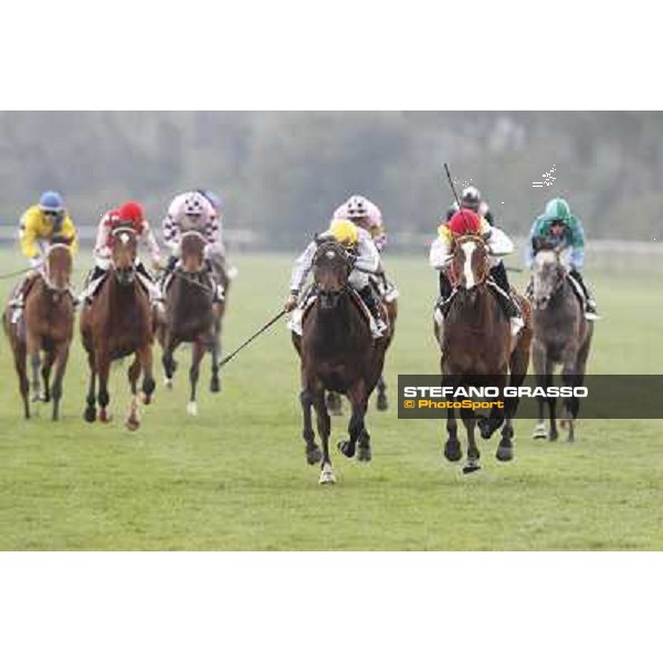 Pisa - San Rossore racecourse, 25th march 2012 ph.Stefano Grasso