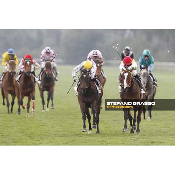 Pisa - San Rossore racecourse, 25th march 2012 ph.Stefano Grasso