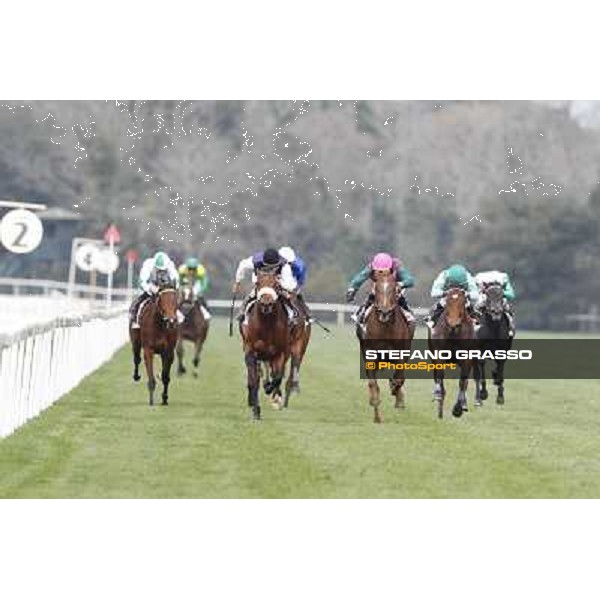 Pisa - San Rossore racecourse, 25th march 2012 ph.Stefano Grasso