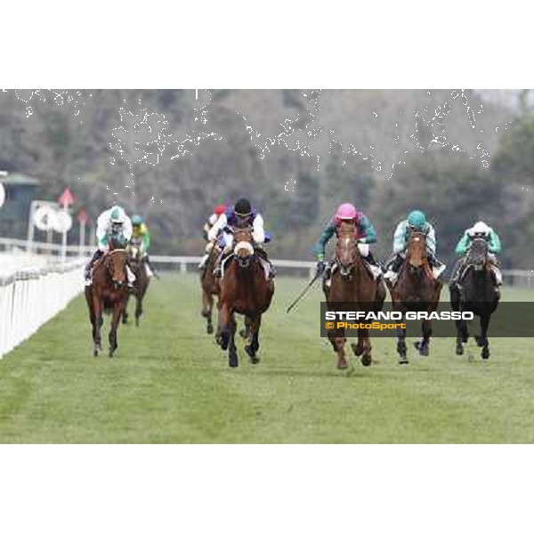 Pisa - San Rossore racecourse, 25th march 2012 ph.Stefano Grasso