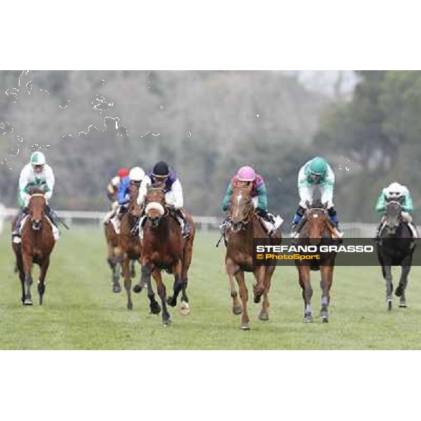 Pisa - San Rossore racecourse, 25th march 2012 ph.Stefano Grasso