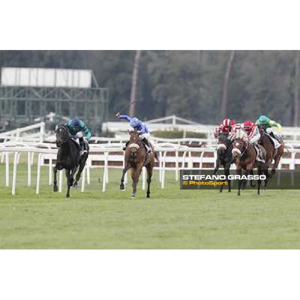 Pisa - San Rossore racecourse, 25th march 2012 ph.Stefano Grasso