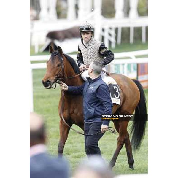 Pisa - San Rossore racecourse, 25th march 2012 ph.Stefano Grasso