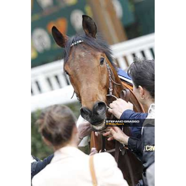 Pisa - San Rossore racecourse, 25th march 2012 ph.Stefano Grasso